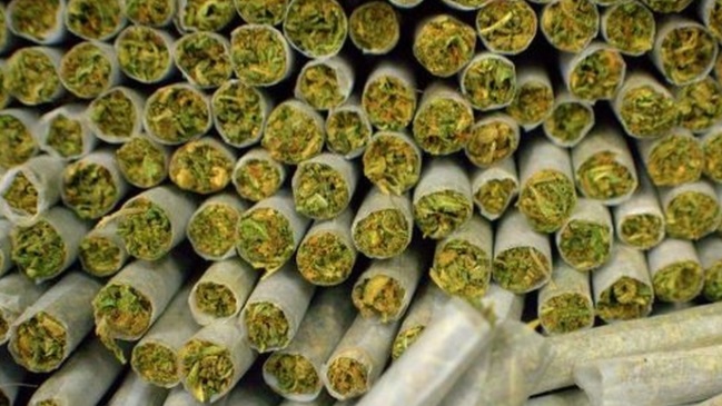 Sujeto se subió con más de 1.000 cigarros de marihuana a auto policial por error