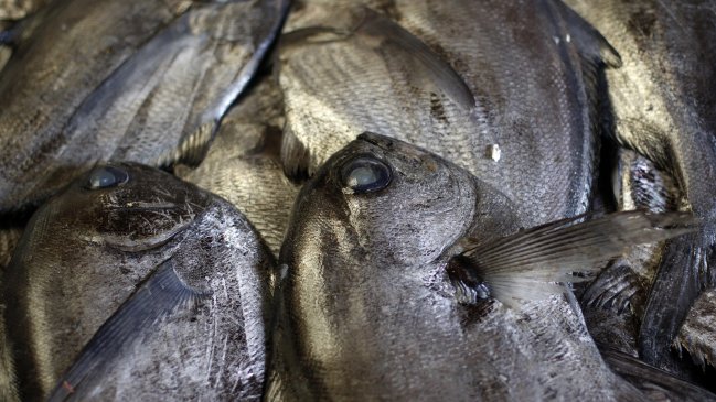 Brasil suspendió exportaciones de pescado a la Unión Europea tras veto sanitario