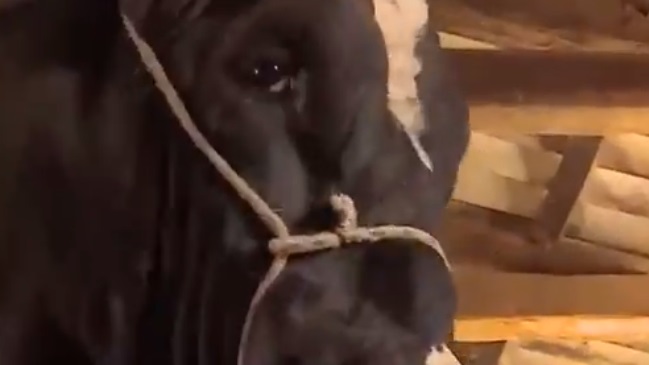 Comentarista de televisión eligió los mejores momentos de 2017