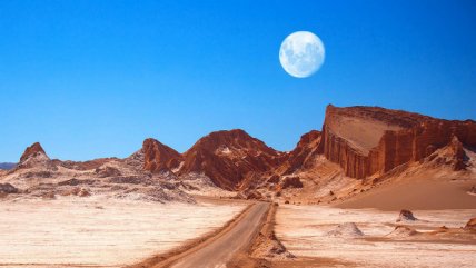   La Historia es Nuestra: Cómo los microorganismos del desierto de Atacama podrían combatir el cáncer 
