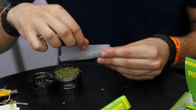Fundación preocupada por baja percepción del riesgo del consumo de la marihuana en Chile