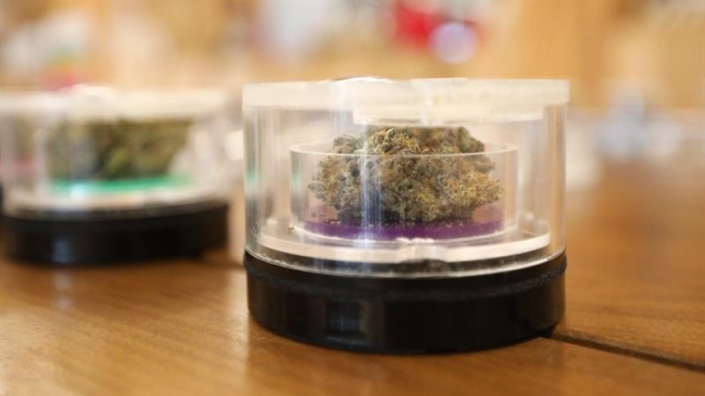 Casa Blanca tumbó ley de Obama para interferir en legalización estatal de marihuana