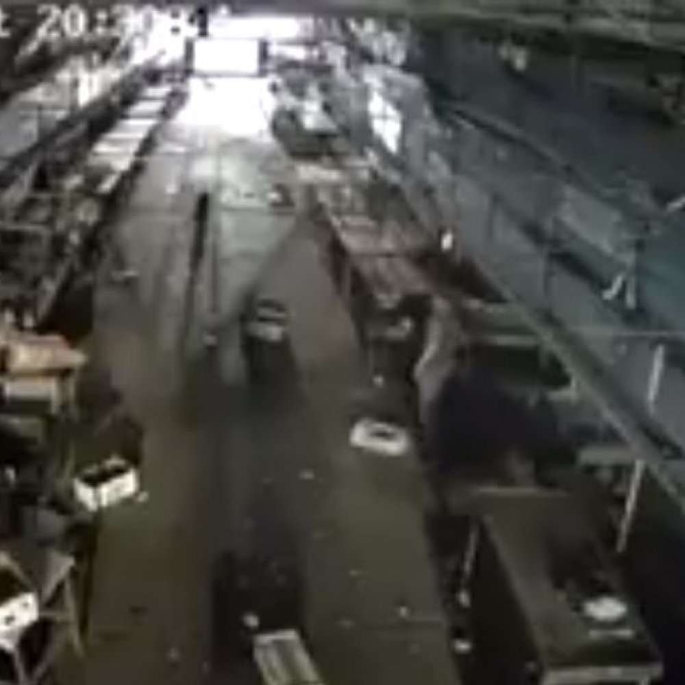 Trabajador de Lo Valledor renunció tras lanzar gato a una jauría de perros