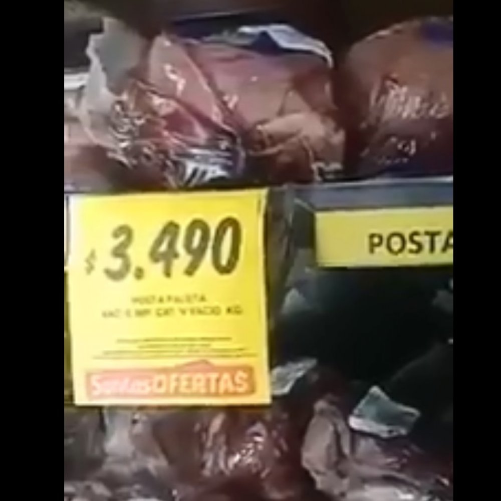 Denuncian presencia de murciélagos en refrigerador de supermercado