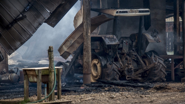 Corporación de la Madera: Es preocupante que ataques hayan traspasado La Araucanía