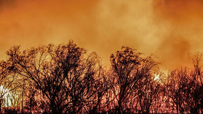 Incendios forestales consumen cerca de 200 mil hectáreas en Mendoza
