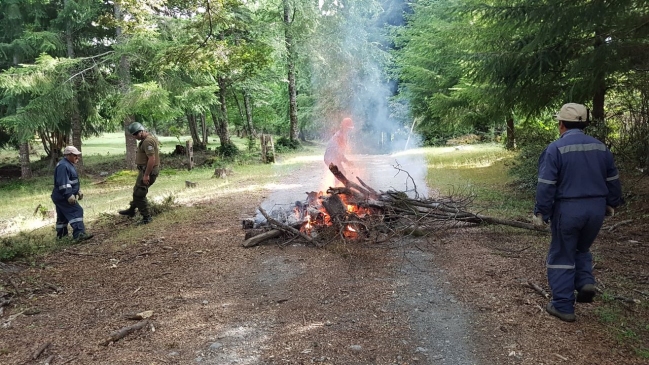 Encapuchados se enfrentaron a Carabineros en Panguipulli