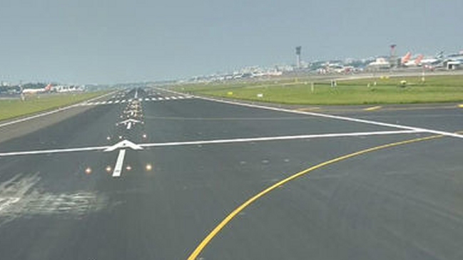 Una vaca obligó a desviar vuelos internacionales en aeropuerto de la India