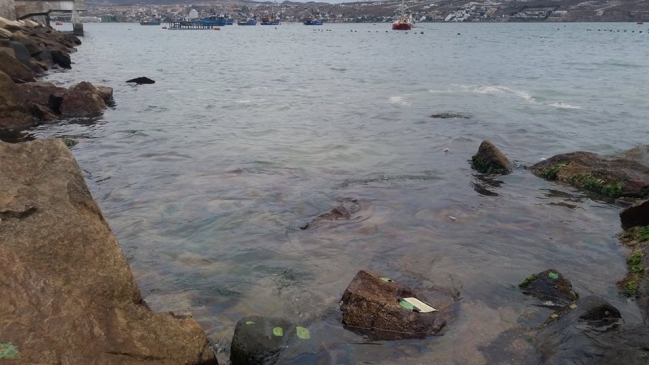 Piden investigar contaminación por petróleo en playa La Herradura