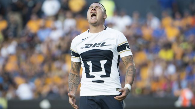 Miguel Herrera respondió a la provocación de Nicolás Castillo: El clásico no es una guerra