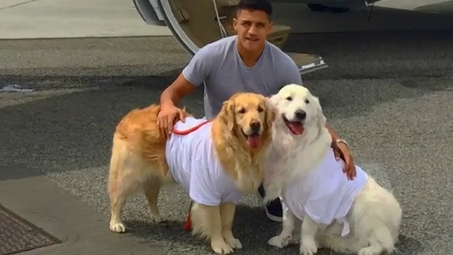 En Inglaterra se preguntan qué pasará con los perros de Alexis en Manchester