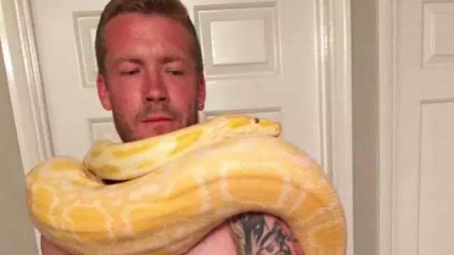 Hombre murió asfixiado por su pitón de 2,5 metros