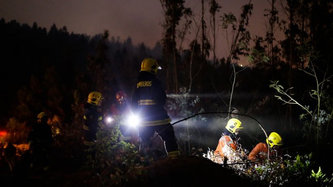 Declaran Alerta Amarilla para la Provincia de Ñuble por incendio forestal