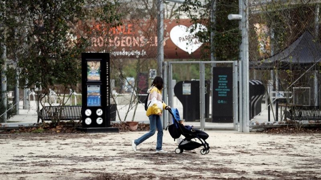 Al menos 50 monos se escaparon de un zoológico en París