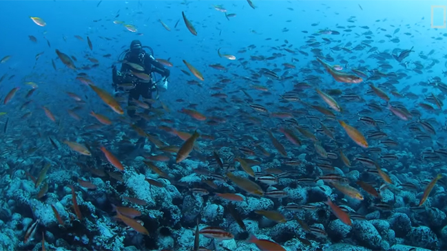 NatGeo estrena documental sobre archipiélago Juan Fernández