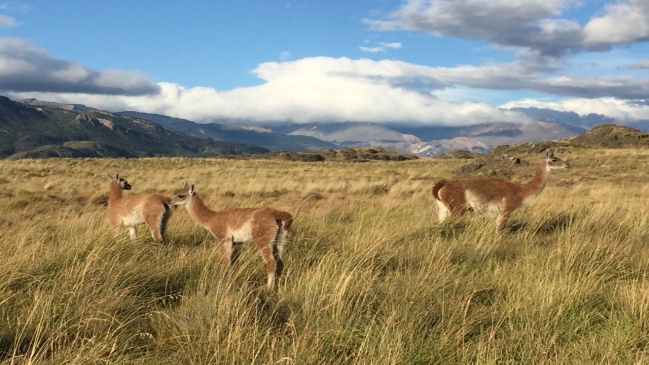  Gobierno firmó creación de la Red de Parques de la Patagonia  