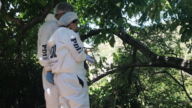 Investigan hallazgo del cuerpo de una mujer en la comuna de Machalí