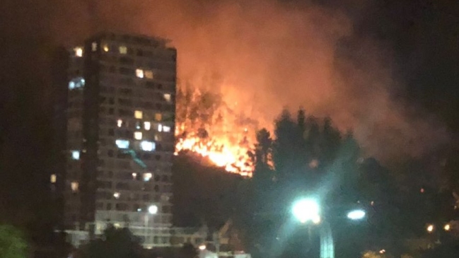 Incendio afecta a Cerro Caracol en Concepción