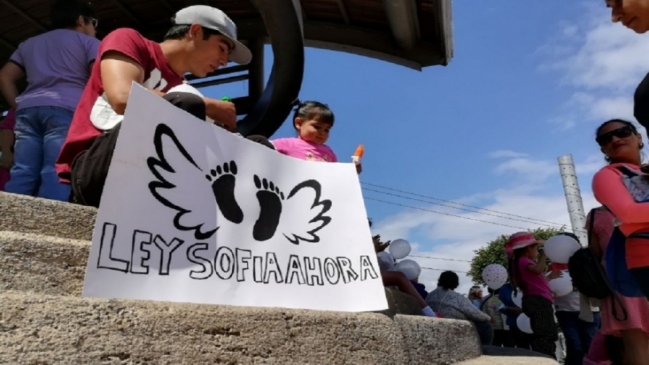 Corporación Miles espera 