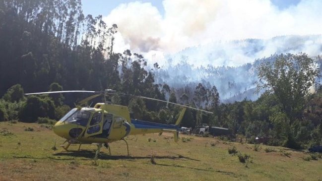 Intendencia de Los Ríos declaró alerta roja para Mariquina por incendio forestal