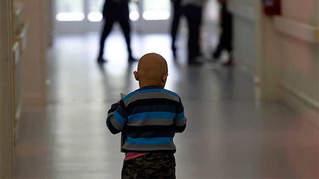 Ya entró en vigencia: Conoce cómo funciona la Ley Sanna