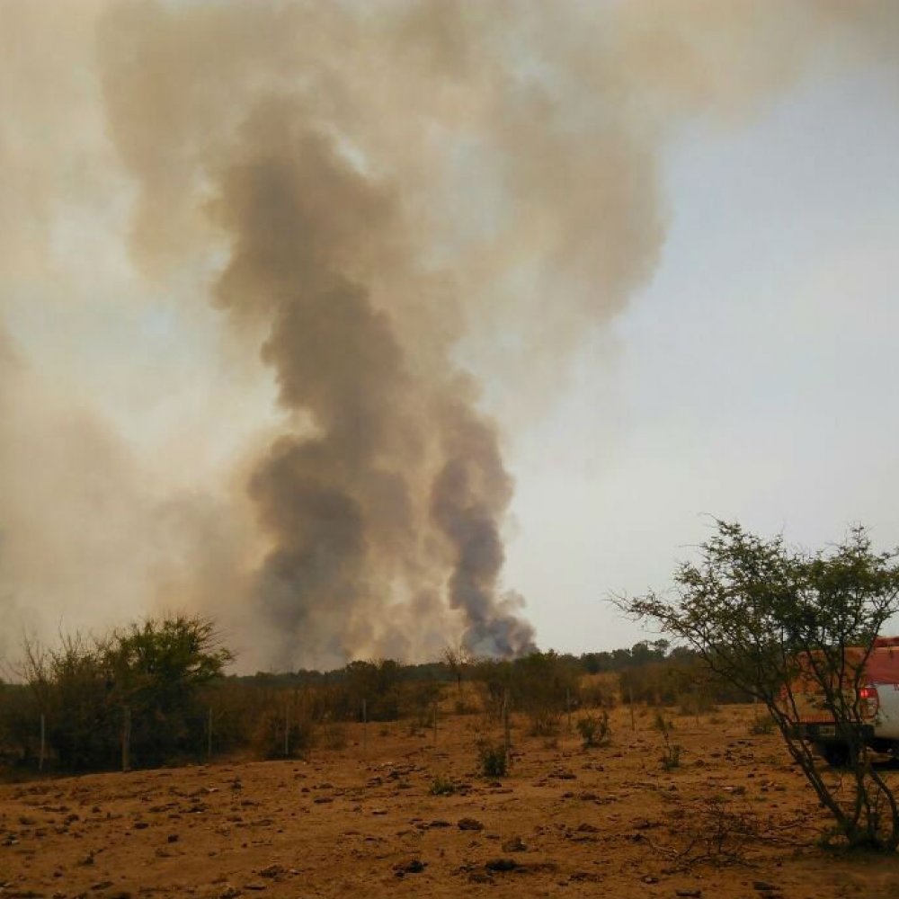 Prenden fuego para un asado y se queman mil hectáreas en Argentina
