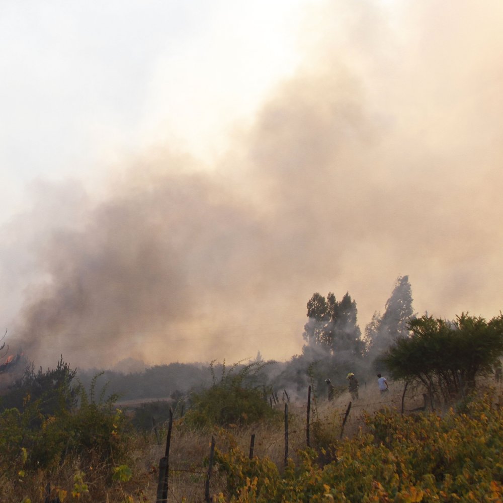 Región Metropolitana y de O'Higgins con alerta preventiva ante altas temperaturas