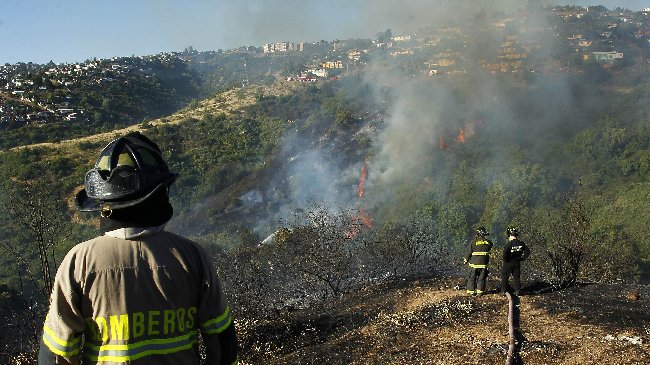 Conaf sobre incendios forestales: 