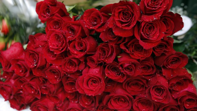 La foto que rompió el corazón de internet: Hombre cenó con las cenizas de su esposa