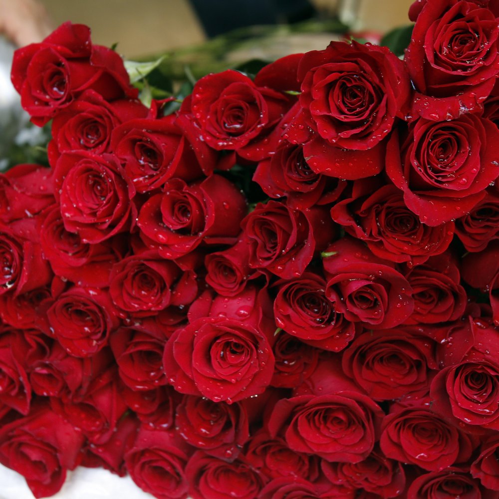 La foto que rompió el corazón de internet: Hombre cenó con las cenizas de su esposa