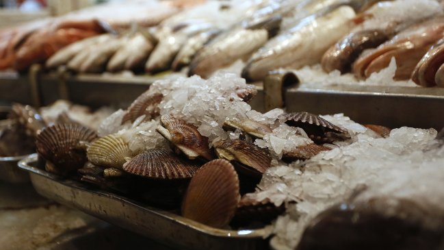 Tras 17 días aún no se registran intoxicados graves por marea roja en Chiloé