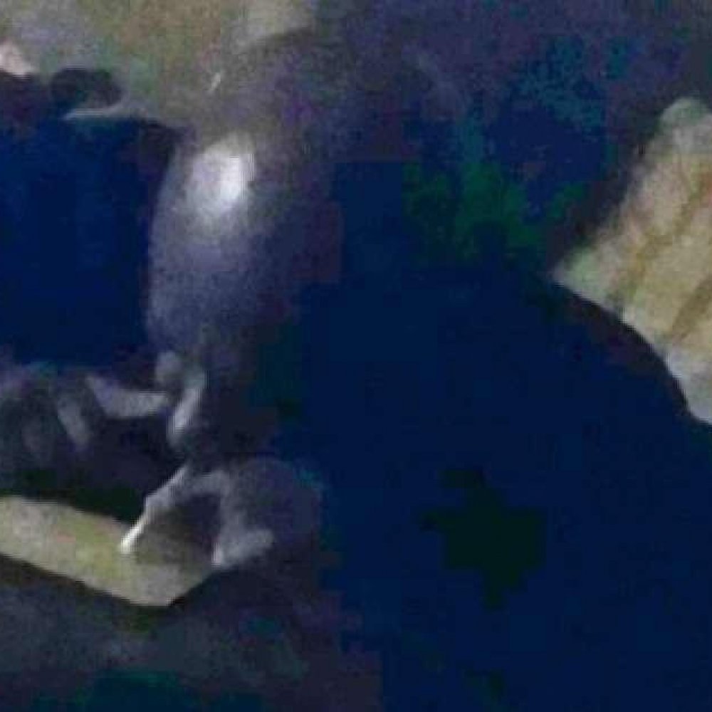 Pillan a sacerdote consumiendo drogas, viendo porno y deseando una prostituta