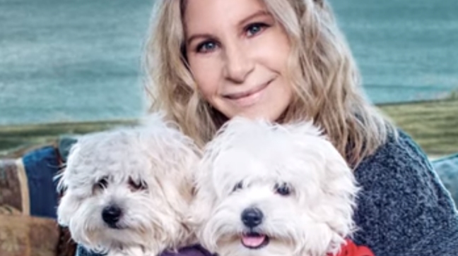 Barbra Streisand revela que tiene dos perros que son clones