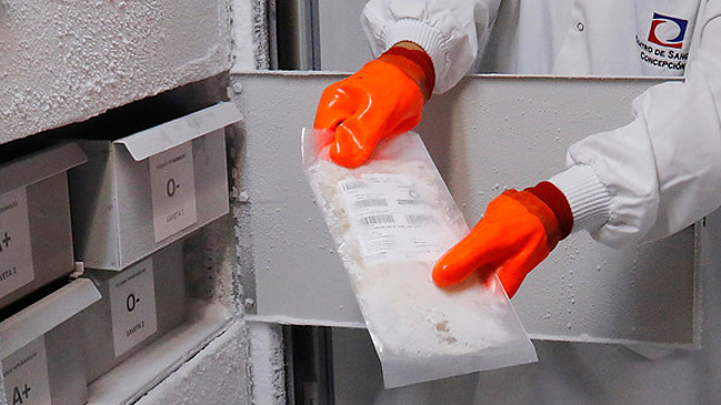 Hombre de 53 años está hospitalizado por contagio del virus Hanta en Puerto Montt