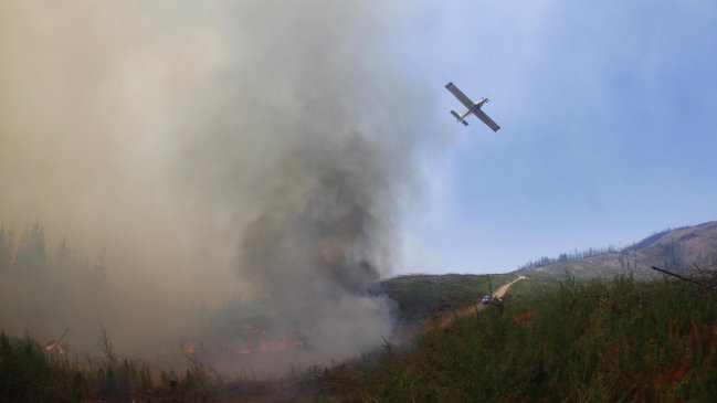 Incendios forestales han disminuido un 20 por ciento en relación a la temporada 2016-2017