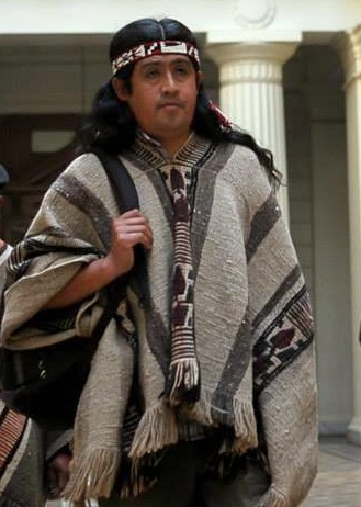 Tribunal despachó orden de detención contra vocero de comunidad Temucuicui