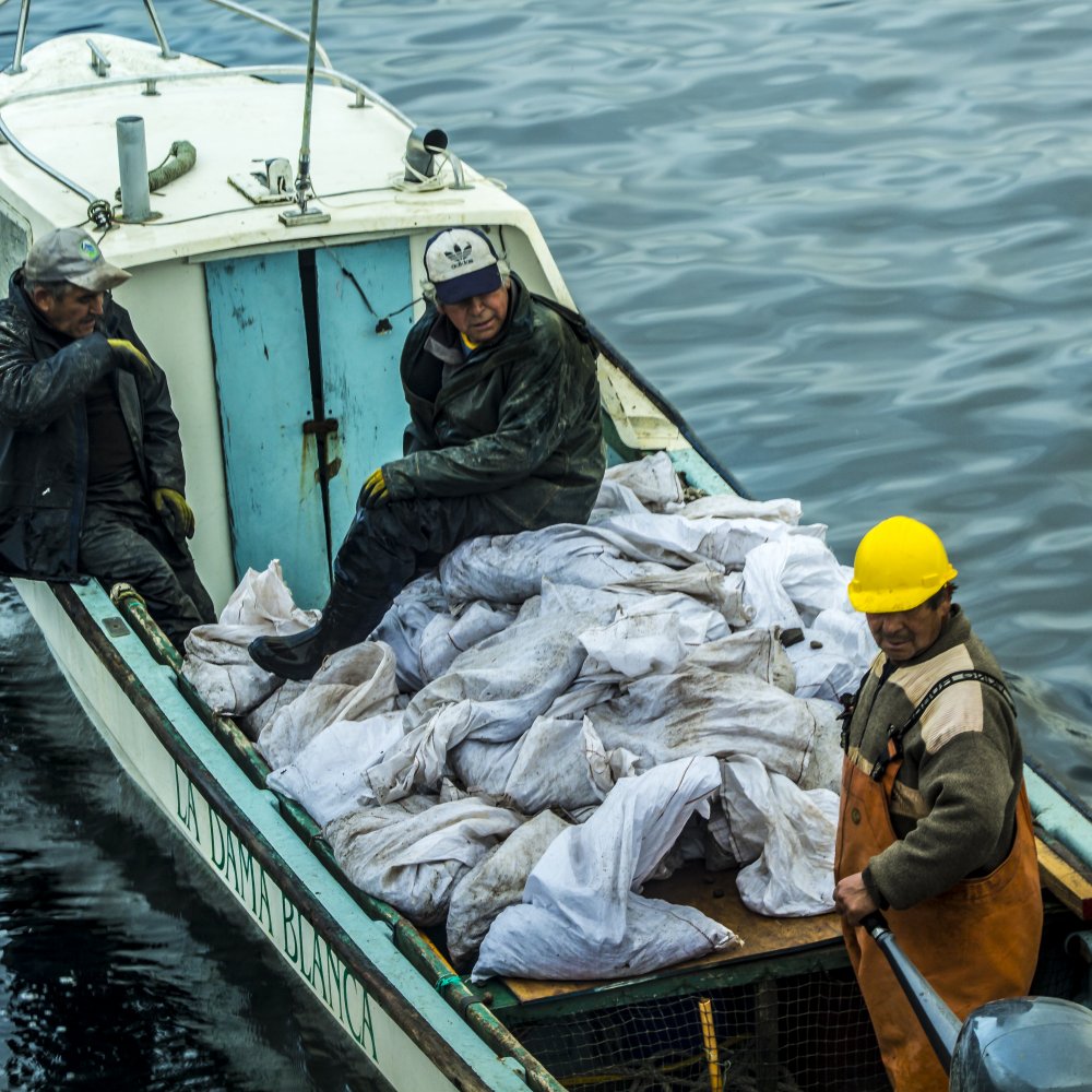 Pescadores bloquean acceso a isla de Aysén por incumplimiento del Gobierno