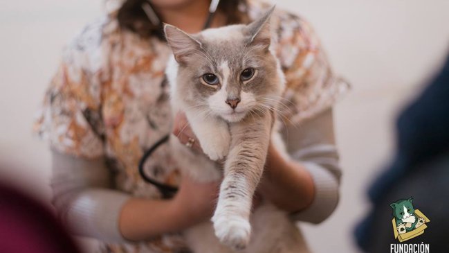 Este sábado se desarrollará la novena edición de 