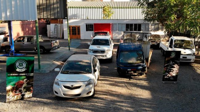 Carabineros desbarató banda dedicada a 