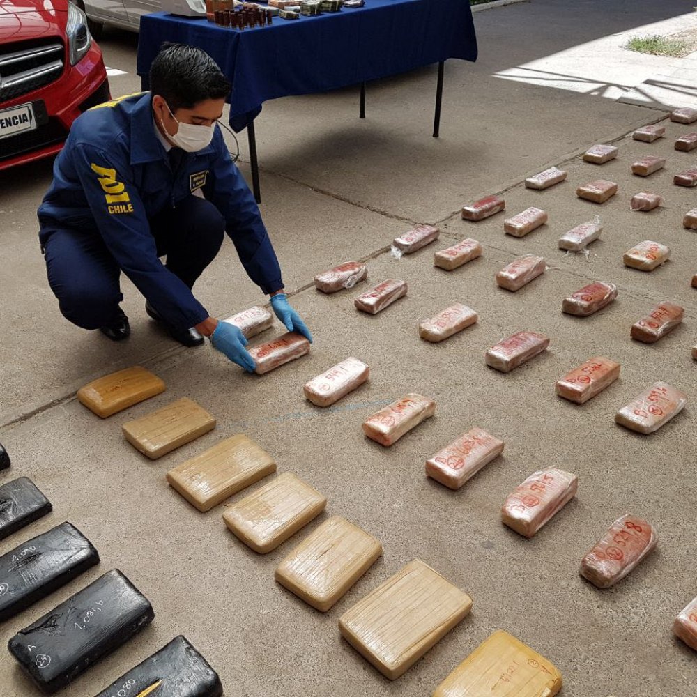 PDI detuvo a narcotraficantes que transportaban droga en mallas de cebolla