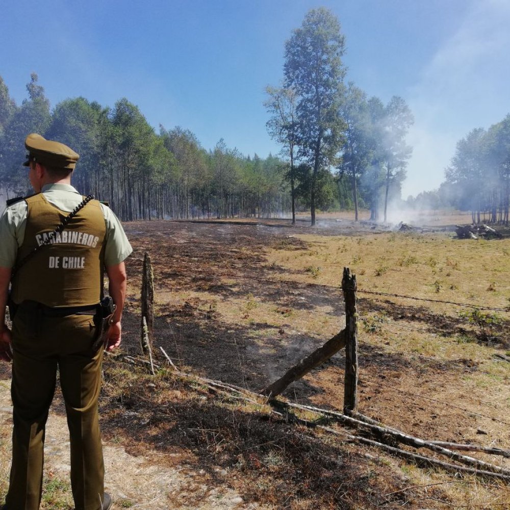 Carabineros detuvo a mujer acusada de provocar un incendio forestal en Los Ríos