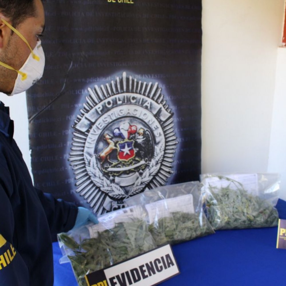 PDI decomisó más de 2.300 dosis de marihuana en Santa Cruz