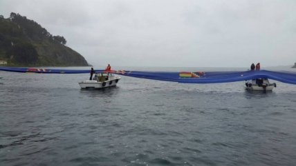   Evo Morales celebró la 