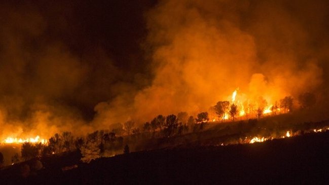 Al menos nueve senderistas murieron en un incendio forestal en India