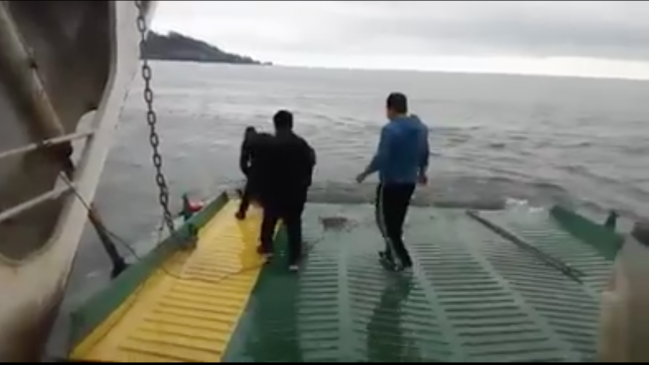 Los Ríos: persona cayó desde cubierta de barcaza en tramo Niebla-Corral