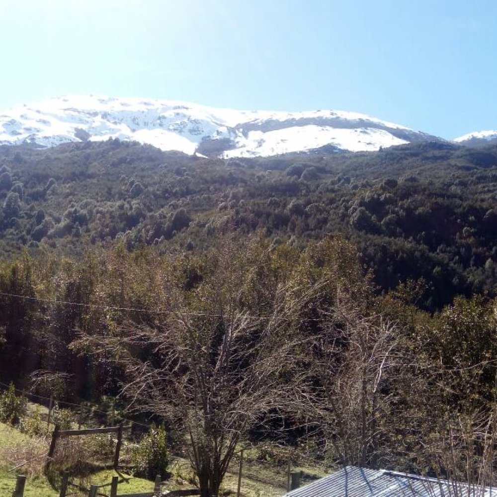 Cochamó: Turista argentino está desaparecido desde hace 8 días