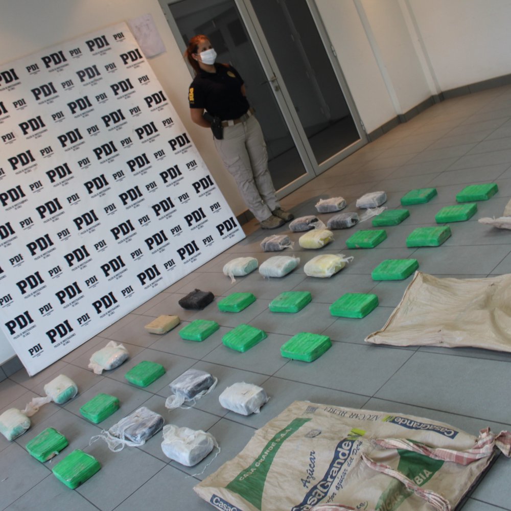 Arica: incautan más de 182 millones de pesos en cannabis sativa