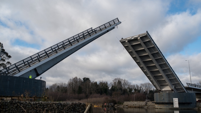 Constructora objetará informe sobre Puente Cau Cau: 