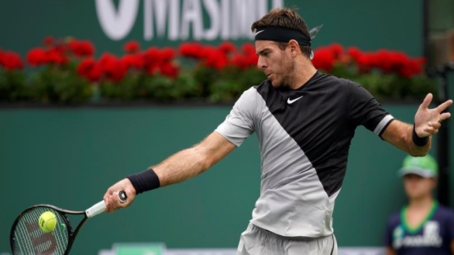 Juan Martín del Potro eliminó a Ferrer y avanzó a octavos de final en Indian Wells