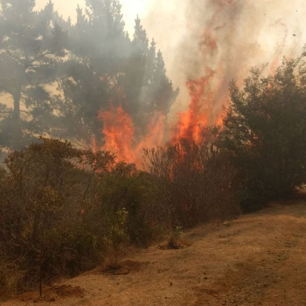 Tres alertas rojas por incendios se mantienen en la región de Valparaíso